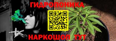 МДМА Камышлов