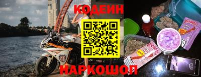 стаф Кингисепп